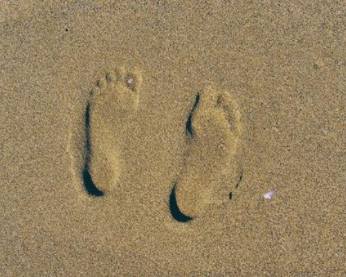 What Is Your Footprint?
