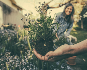 Making The Most Of Spring: Gardening, Foraging, and Slow Living